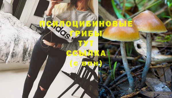 дурь Устюжна