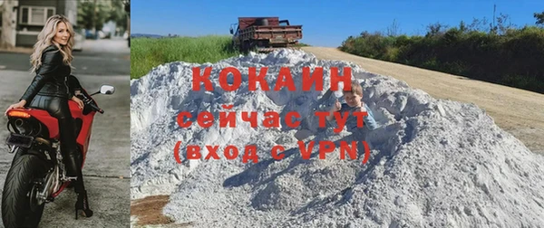 дживик Тобольск