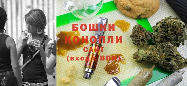 мдпв Осинники