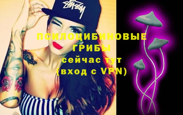прущие крисы Переславль-Залесский