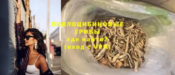 мдпв Осинники