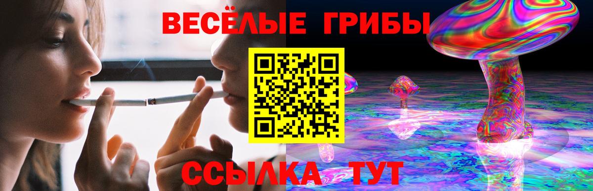 Псилоцибиновые грибы GOLDEN TEACHER Саранск